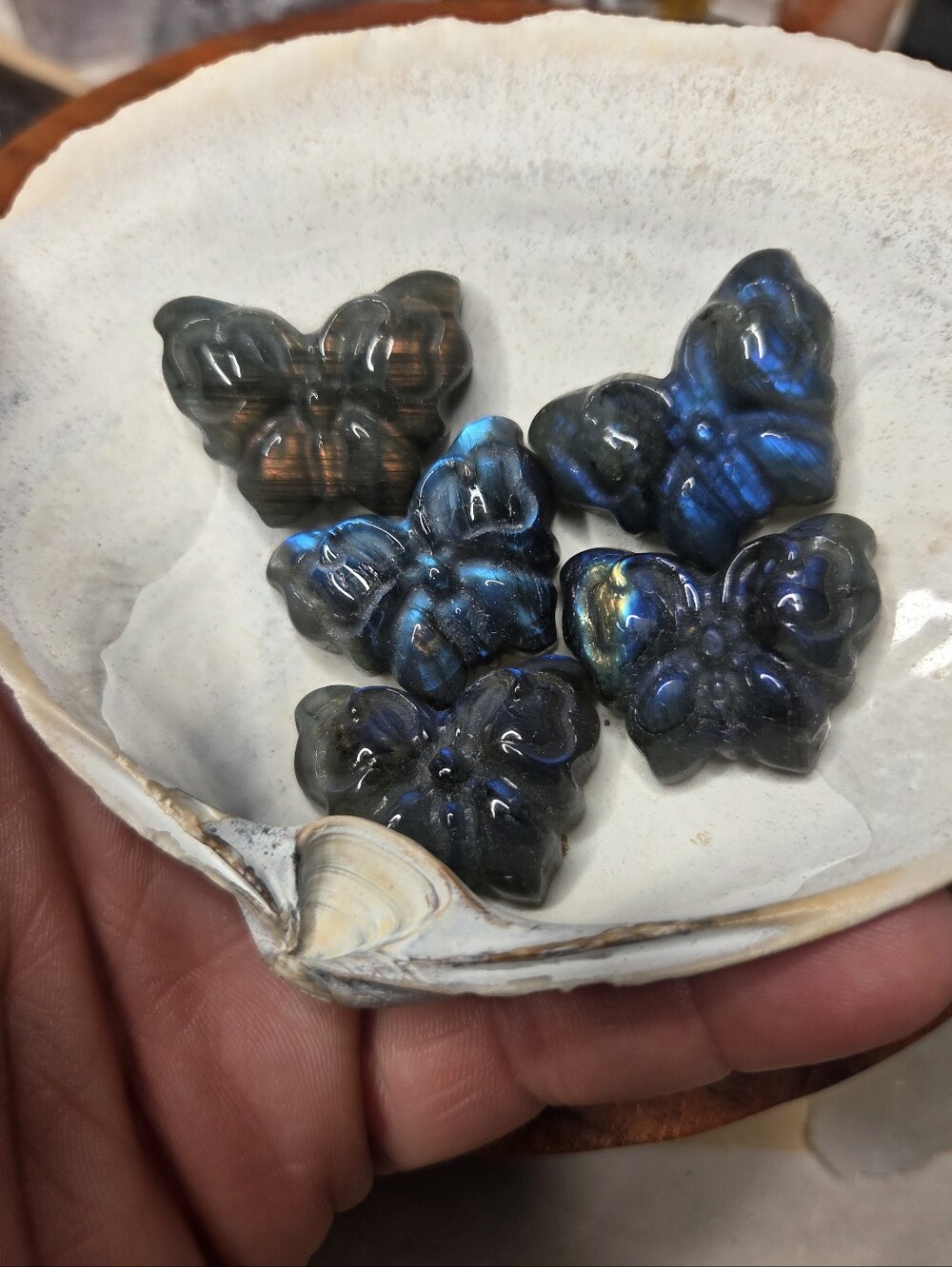 1 Labradorite Butterfly 1.5 In( Protection) - Picture 3 of 3